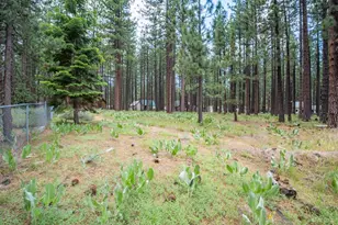 1126 Johnson Blvd, South Lake Tahoe, CA 96150 - Photo 37