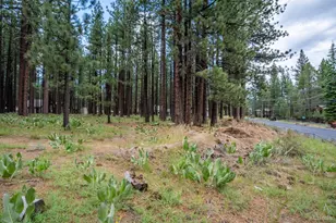 1126 Johnson Blvd, South Lake Tahoe, CA 96150 - Photo 39