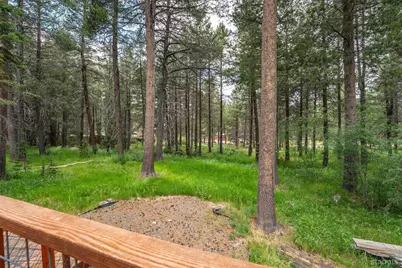 1061 Crow Street, South Lake Tahoe, CA 96150 - Photo 23