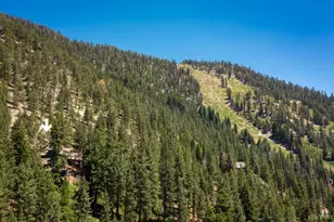 1641 Sherman Way, South Lake Tahoe, CA 96150 - Photo 29