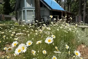 643 Seneca Dr, South Lake Tahoe, CA 96150 - Photo 51