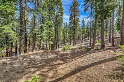 8861 Glen Drive, South Lake Tahoe, CA 96150 - Photo 9