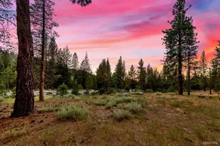 2810 St Nick Way, South Lake Tahoe, CA 96150 - Photo 7