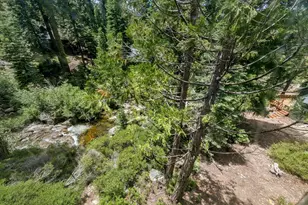 19 Sciots Trail, Twin Bridges, CA 95735 - Photo 9
