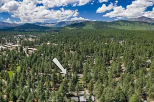 917 Rainbow Dr, South Lake Tahoe, CA 96150 - Photo 37