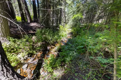 1620 Wiyot Road, South Lake Tahoe, CA 96150 - Photo 31