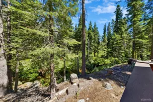 17395 42 Mile Stone Rd, Twin Bridges, CA 95735 - Photo 7
