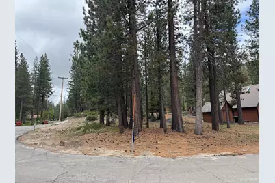 2900 Santa Claus Drive, South Lake Tahoe, CA 96150 - Photo 3