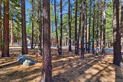 1506 Bonita Road, South Lake Tahoe, CA 96150 - Photo 13