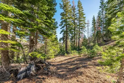 14 The Palisades Unit #4, Kirkwood, CA 95646 - Photo 5