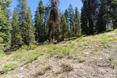20414 US Highway 50, South Lake Tahoe, CA 96155 - Photo 5