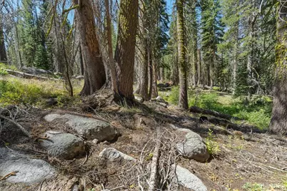 20414 US Highway 50, South Lake Tahoe, CA 96155 - Photo 11