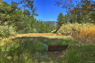 1419 Chinquapin Dr, South Lake Tahoe, CA 96150 - Photo 3