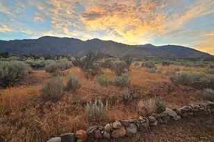 151 Gold Rush Trail, Markleeville, CA 96120 - Photo 47
