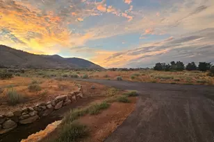 151 Gold Rush Trail, Markleeville, CA 96120 - Photo 49