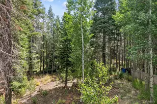 1234 E San Bernardino Ave, South Lake Tahoe, CA 96150 - Photo 39