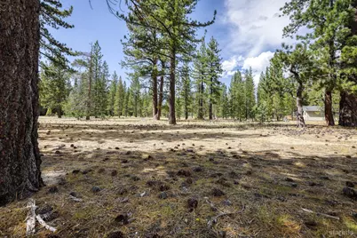 2520 Blitzen Road, South Lake Tahoe, CA 96150 - Photo 7