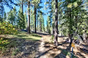 1892 Osage Cir, South Lake Tahoe, CA 96150 - Photo 57