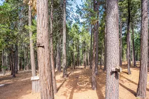 26913 Woodland Rd, Pioneer, CA 95666 - Photo 45