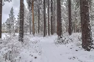 593 Tahoe Island Dr, South Lake Tahoe, CA 96150 - Photo 21