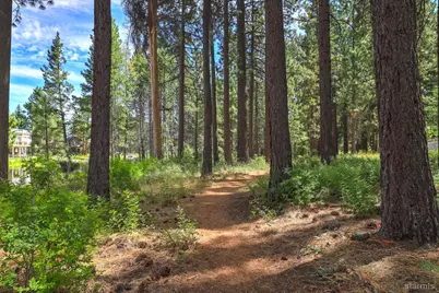 593 Tahoe Island Drive, South Lake Tahoe, CA 96150 - Photo 19