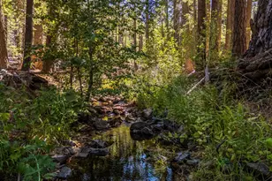 1750 Spring Creek Rd, South Lake Tahoe, CA 96150 - Photo 3