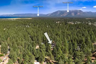 838 Clement St, South Lake Tahoe, CA 96150 - Photo 43