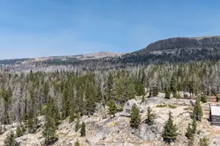 7 Caples Lake, Kirkwood, CA 95646 - Photo 61