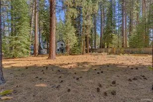 1194 Winnemucca Ave, South Lake Tahoe, CA 96150 - Photo 19