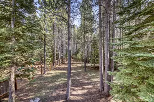 1556 Ojibwa St, South Lake Tahoe, CA 96150 - Photo 41