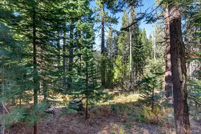 956 Nicoleno Road, South Lake Tahoe, CA 96150 - Photo 35