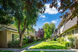 10019 Dove Oak Ct, Cupertino, CA 95014 - Photo 35