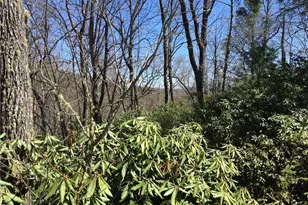 M80 Pine Mountain Trail, Brevard, NC 28712 - Photo 1
