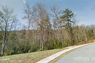 Tbd Springhouse Trail, Brevard, NC 28712 - Photo 1