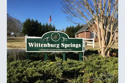 Lot 29 Wittenburg Springs Drive #029, Taylorsville, NC 28681 - Photo 1