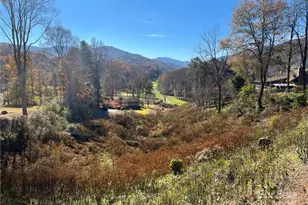 0 Country Club Dr, Canton, NC 28716 - Photo 1