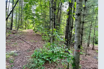 000 Crabtree Woods Road #11, 20,21,22,23, Spruce Pine, NC 28777 - Photo 1