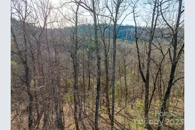 Lot 395 Roaring Fork Lane, Hendersonville, NC 28739 - Photo 1
