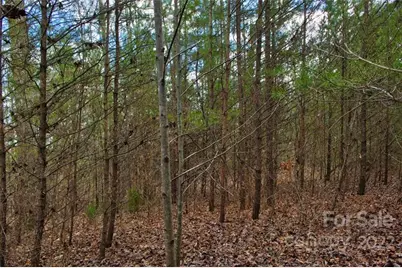 0 N Dakota Drive #343, Rutherfordton, NC 28139 - Photo 1