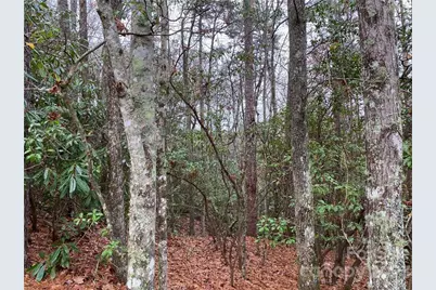 M30 Elk Mountain Trail, Brevard, NC 28712 - Photo 1
