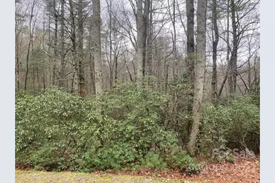 Tbd Salola Lane #U04-L033, Brevard, NC 28712 - Photo 1