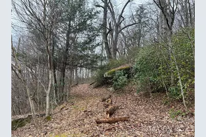 Lot 32 Grand Oaks Drive, Hendersonville, NC 28792 - Photo 1