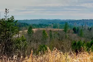 1 55 Acres Lot 940 Low Valley Way, Lenoir, NC 28645 - Photo 1