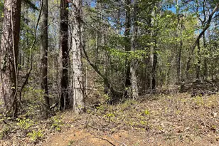 0 Lake Tillery Rd, Albemarle, NC 28001 - Photo 1