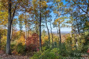 64 Giffords Ln, Asheville, NC 28803 - Photo 1