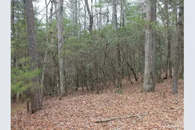 000 Wildlife Trail #1.16 ACRES, Hendersonville, NC 28739 - Photo 1