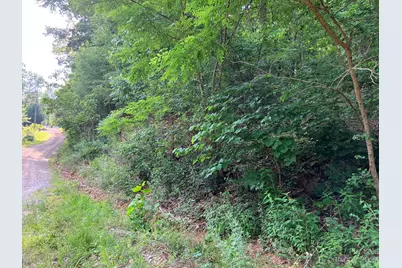 00 Roberts Trail #LOT 454, Lake Lure, NC 28746 - Photo 1