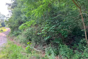 00 Roberts Trail, Lake Lure, NC 28746 - Photo 1