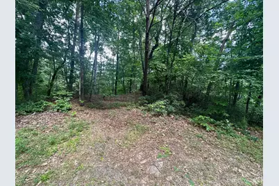 0000 Justice Drive, Lake Lure, NC 28746 - Photo 1