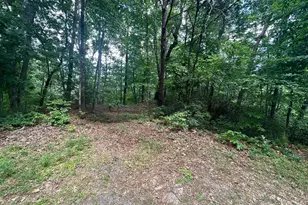 0000 Justice Dr, Lake Lure, NC 28746 - Photo 1